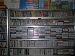 蒲城阳光音像图书 音响图书与音像制品的精致分类与特色